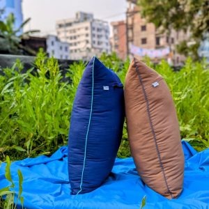২ টি শিমুল তুলার বালিশ